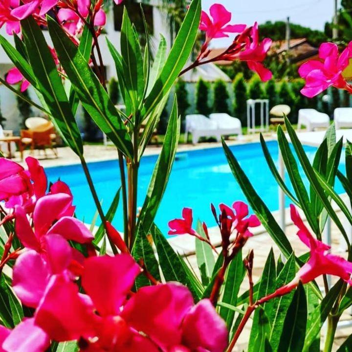 Etoiles Luxury Guest House Resort Palmi Extérieur photo